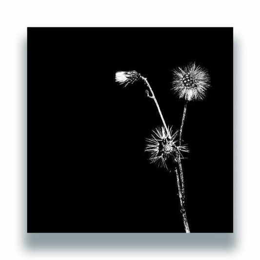 Jon Dasilva Skyskrapa Donald Waugh – Sun Brings Joy (12", Hottwerk Records, 2026) Front Cover