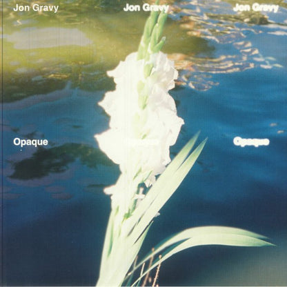 Jon Gravy – Opaque (12", Studio Bahöö, 2025) Front Cover