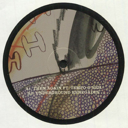 Josh Brent – 213 EP (12", 180g, The Nothing Special, 2022) Front Cover