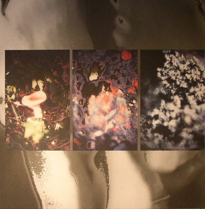 Kassem Mosse / Simone White – Three Versions (12", Honest Jon's Records, 2015) Front Cover