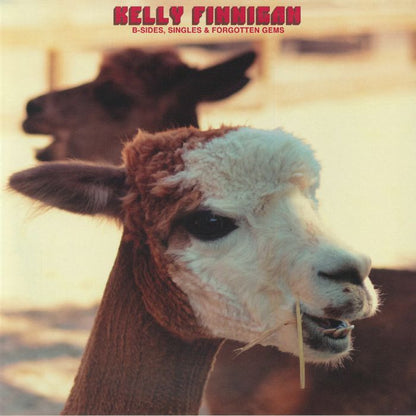 Kelly Finnigan – B-Sides, Singles & Forgotten Gems (LP, Colemine Records, 2026) Front Cover