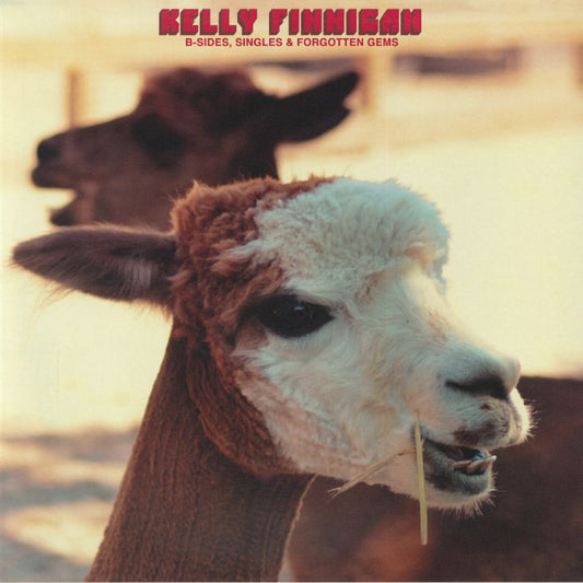 Kelly Finnigan – B-Sides, Singles & Forgotten Gems (LP, Colemine Records, 2026) Front Cover