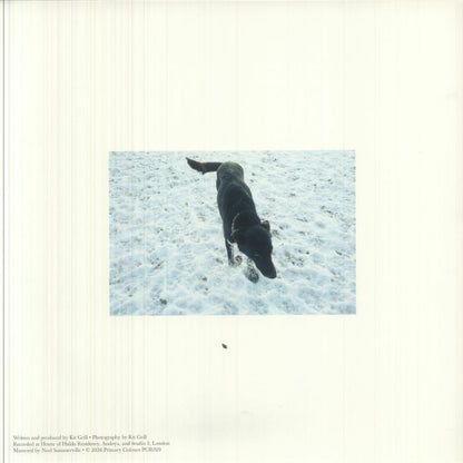 Kit Grill – Andoya (LP, Primary Colours, 2026) Back Cover