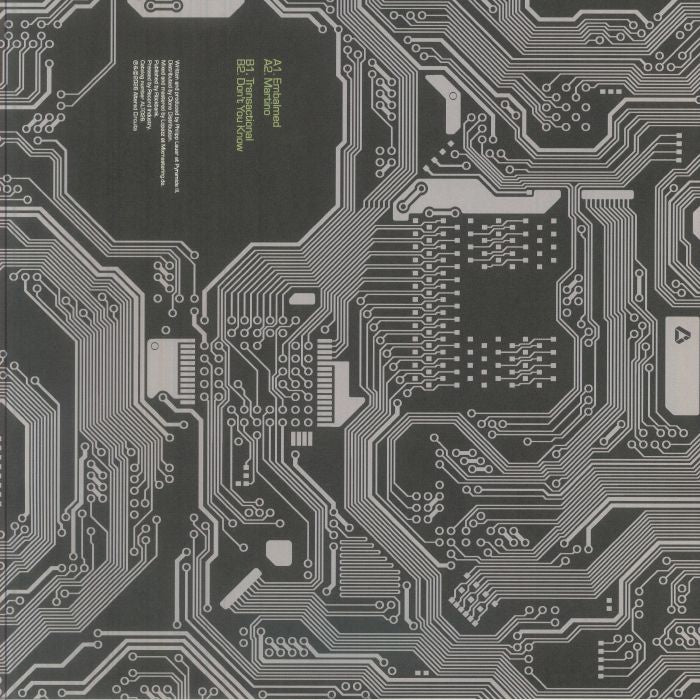 Lauer – Embalmed In Martino EP (12", Altered Circuits, 2026) Back Cover