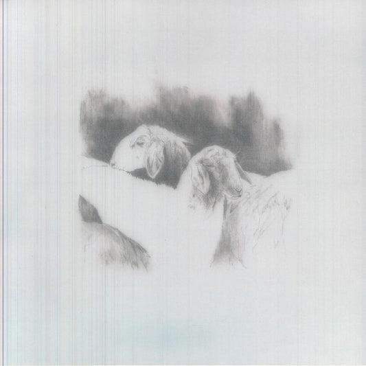 Lavurn – Baby it Cold Outside (LP, Motion Ward, 2026) Front Cover