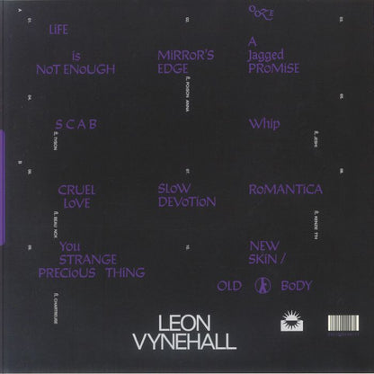 Leon Vynehall – In Daytona Yellow (LP, Studio Ooze, 2025) back cover