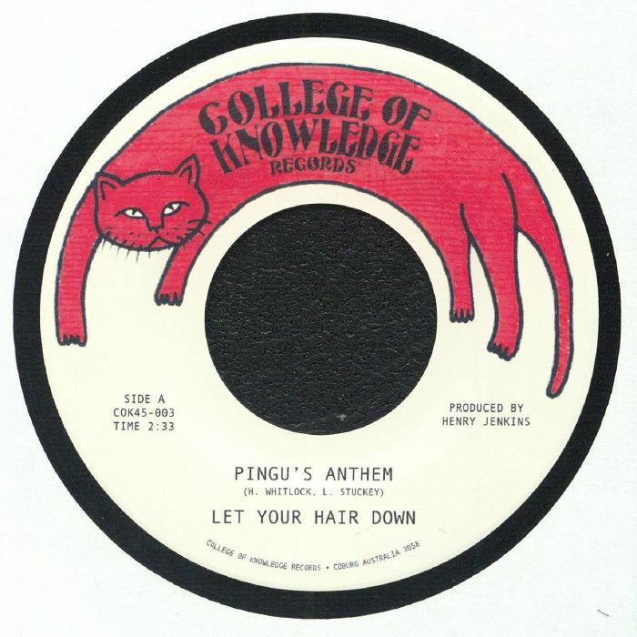 Let Your Hair Down – Pingu's Anthem / Gronk (7", College Of Knowledge Records, 2026) Front Cover