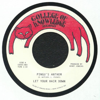 Let Your Hair Down – Pingu's Anthem / Gronk (7", College Of Knowledge Records, 2026) Front Cover