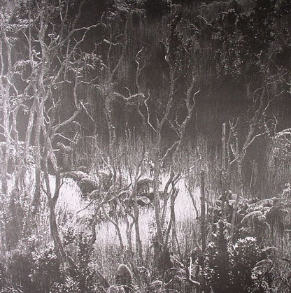 Levantis – Believe (12", The Trilogy Tapes, 2013) Front Cover