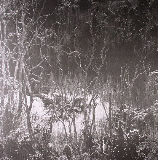 Levantis – Believe (12", The Trilogy Tapes, 2013) Front Cover