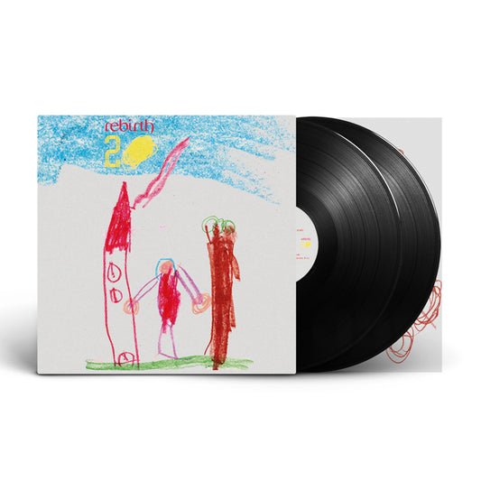 Various - Rebirth 20 (LP)