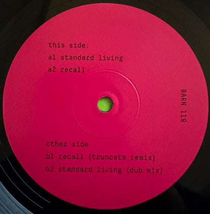 Lil_art_hoe – Standard Living (12", Studio Barnhus, 2025) Front Cover