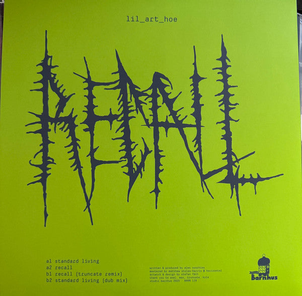 Lil_art_hoe – Standard Living (12", Studio Barnhus, 2025) Image 4