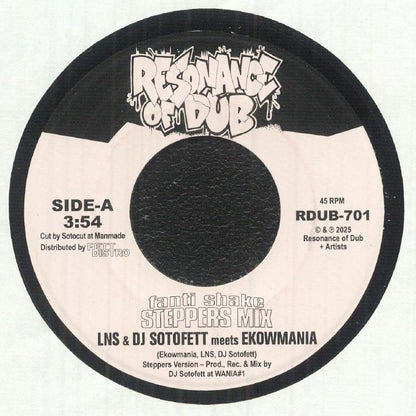 LNS & DJ Sotofett meets Ekowmania – Fanti Shake (Steppers Mix) / Step Eight (7", Resonance of Dub, 2025) Front Cover