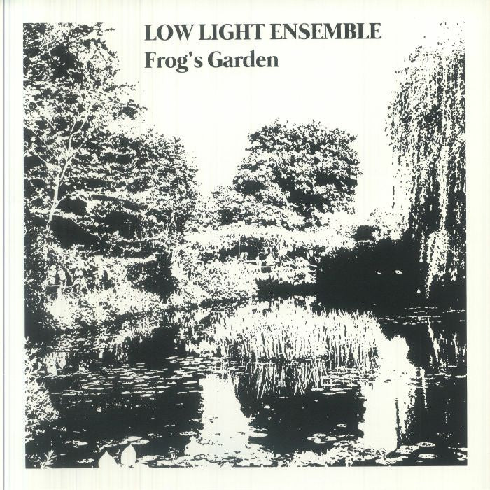 Low Light Ensemble – Frog's Garden (LP, Stereophonk, 2026) Front Cover