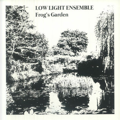 Low Light Ensemble – Frog's Garden (LP, Stereophonk, 2026) Front Cover