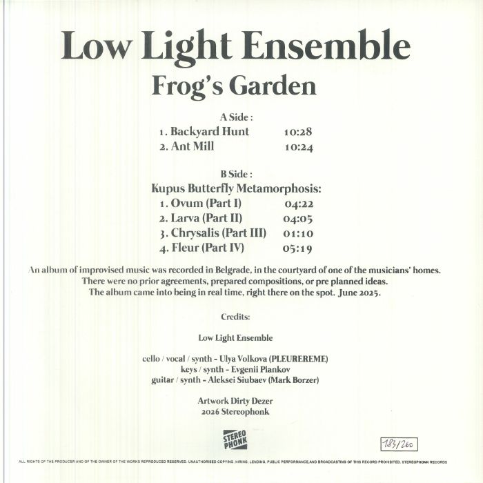 Low Light Ensemble – Frog's Garden (LP, Stereophonk, 2026) Back Cover