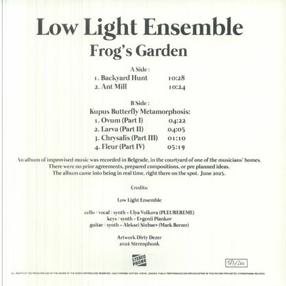 Low Light Ensemble – Frog's Garden (LP, Stereophonk, 2026) Back Cover
