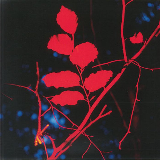 Ludwig Berger – Ecotonalities: No Other Home Than The In-Between (LP, -ous, 2025) Front Cover