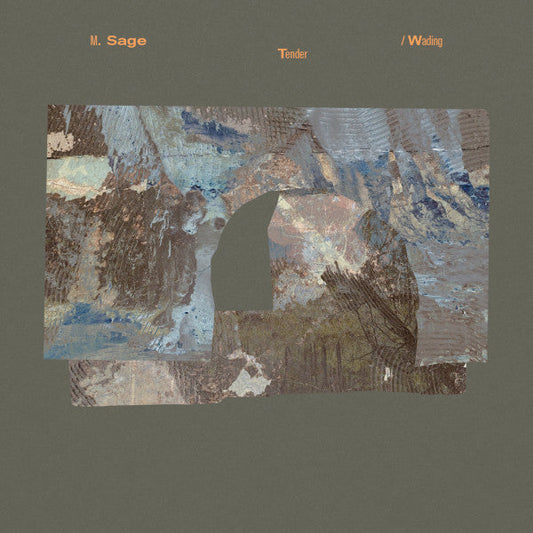 M. Sage – Tender / Wading (LP, Rvng Intl., 2025) image 01