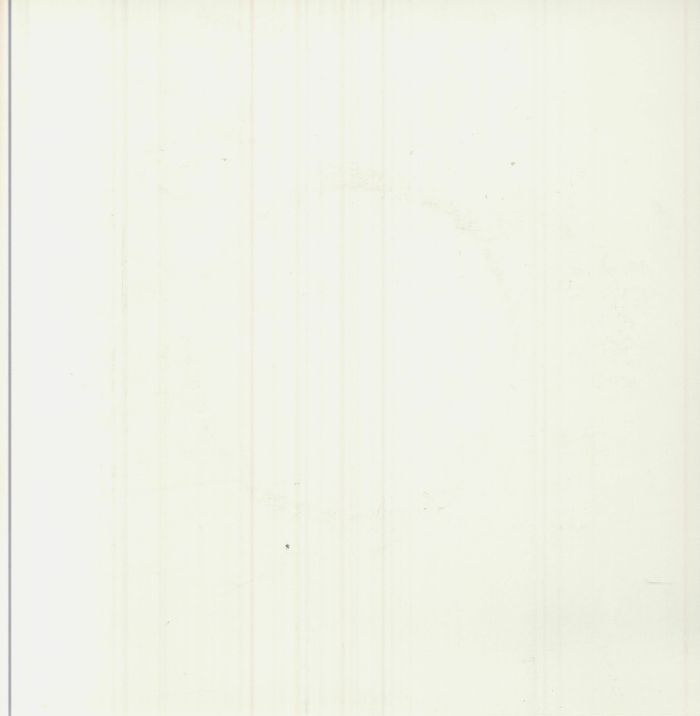 Ma Moyo – Viva Voce Vol 1 (7", Accidental Meetings, 2025) Back Cover