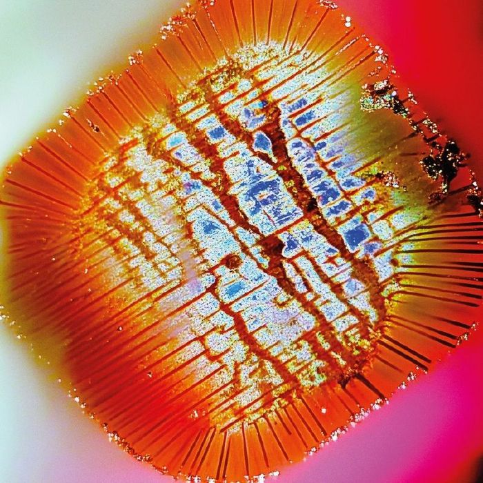 Mac Declos – Nothing Stands Still (2x12", Gatefold, Mama Told Ya, 2025) front cover