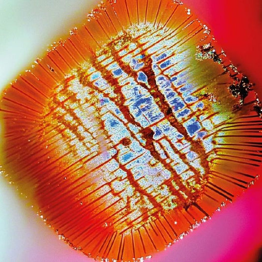 Mac Declos – Nothing Stands Still (2x12", Gatefold, Mama Told Ya, 2025) front cover