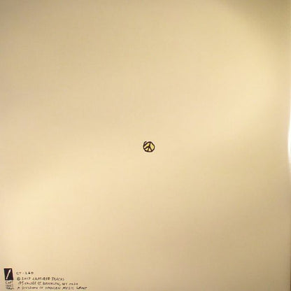 Mac Demarco – This Old Dog (LP, Gatefold, Captured Tracks, 2017) Back Cover