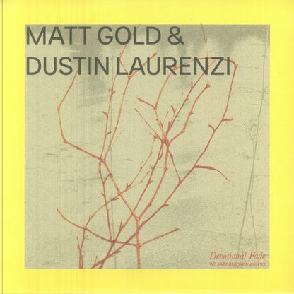 Matt Gold & Dustin Laurenzi – Devotional Fade (LP, We Jazz, 2026) Front Cover