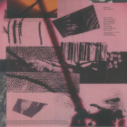 Memotone – Warm Shadows (LP, Accidental Meetings, 2026) Back Cover