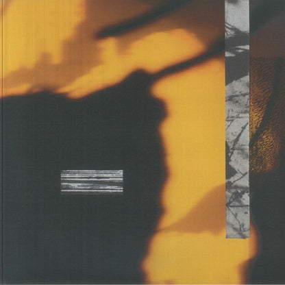 Memotone – Warm Shadows (LP, Accidental Meetings, 2026) Front Cover