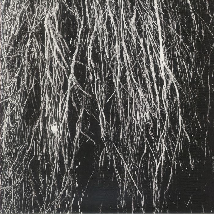 Merzbow Cavalera Bernocchi – Nocturnal Rainforest (LP, Pan, 2025) Front Cover