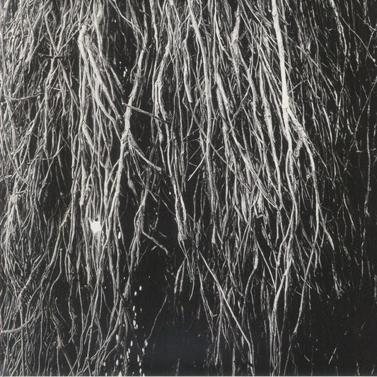 Merzbow , Cavalera , Bernocchi – Nocturnal Rainforest (LP, Pan, 2025) front cover