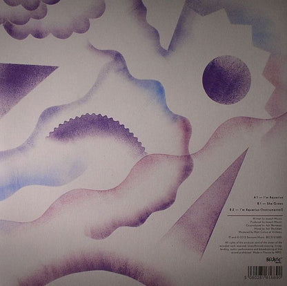 Metronomy – I'm Aquarius (12", Because Music, 2013) Back Cover