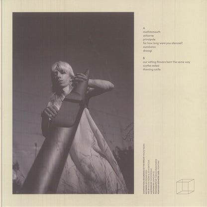 Miłosz Kędra – Their Internal Diapasons (LP, Pointless Geometry, 2025) Back Cover