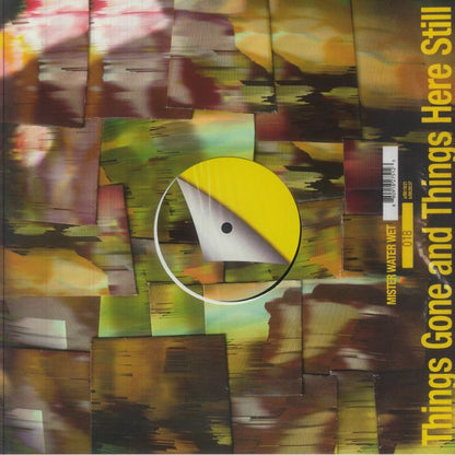 Mister Water Wet – Things Gone and Things Here Still (LP, Soda Gong, 2025) Front Cover