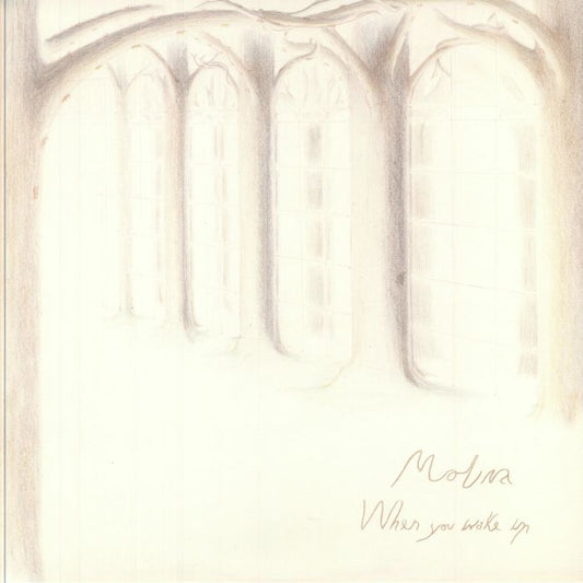 Molina – When You Wake Up (LP, 180g, Escho, 2026) Front Cover