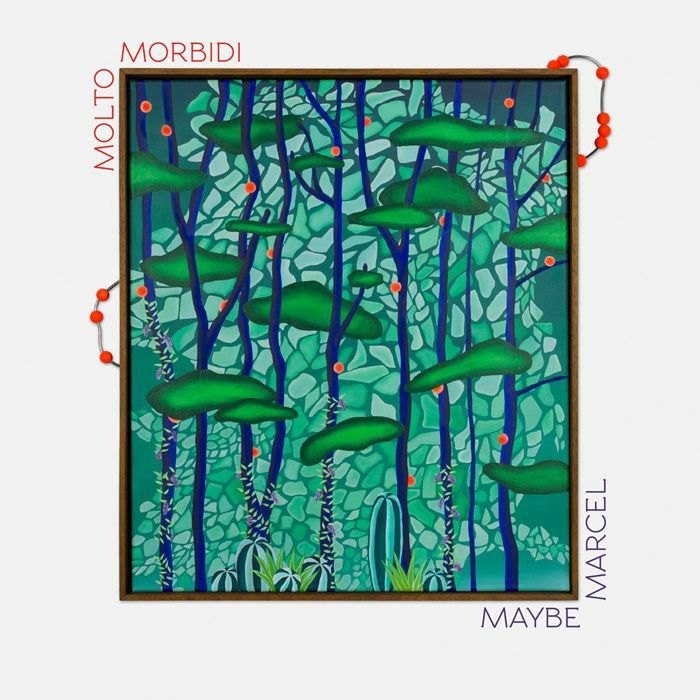 molto morbidi – Maybe Marcel (LP, Purple, No Salad Records, 2026) Front Cover