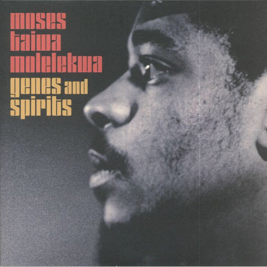 Moses Taiwa Molelekwa – Genes and Spirits (2xLP, Gatefold, Matsuli Music, 2018) Front Cover