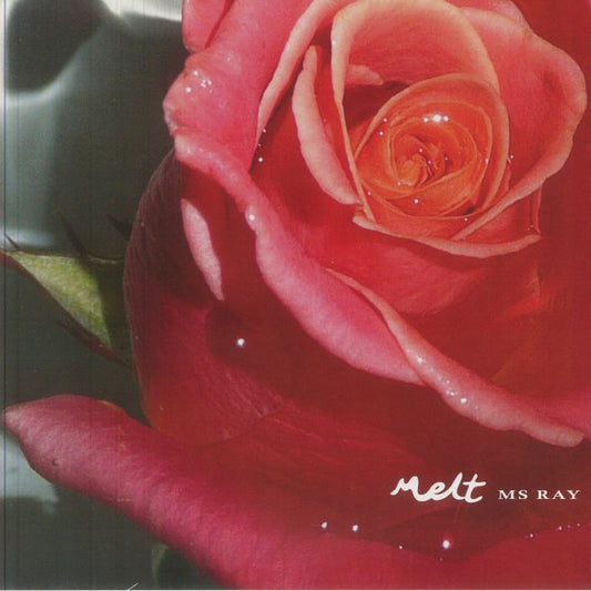 Ms Ray – Melt (LP, Scenic Route, 2026) Front Cover
