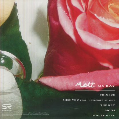 Ms Ray – Melt (LP, Scenic Route, 2026) Back Cover