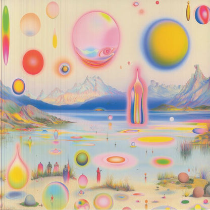 Nadia Struiwigh – IKIGAI (LP, Distorted Waves, 2026) Front Cover