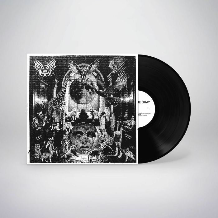 Never – The Gray (LP, VEYL, 2026) Front Cover