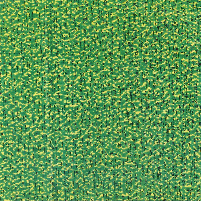 NeWRoomfreaK – NeWRoomfreaK (12", So3ar, 2026) Front Cover