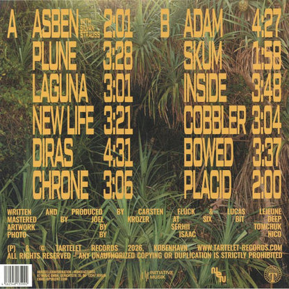 not even noticed – Space Beyond Noise (LP, Tartelet Records, 2026) Back Cover