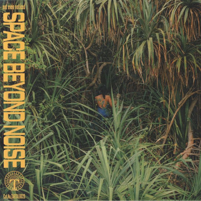 not even noticed – Space Beyond Noise (LP, Tartelet Records, 2026) Front Cover