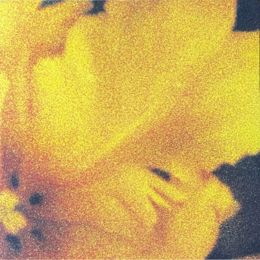 Nthng – Last Light Of The Sun (2x12", topo2, 2026) Front Cover