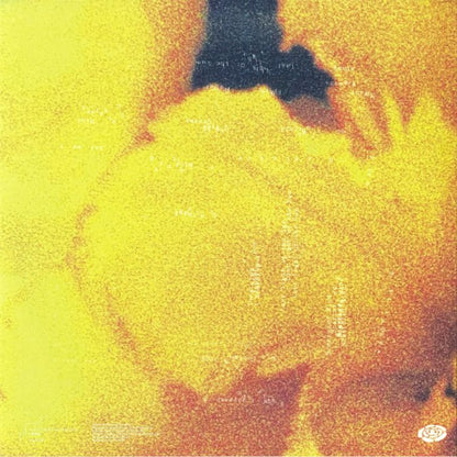 Nthng – Last Light Of The Sun (2x12", topo2, 2026) Back Cover