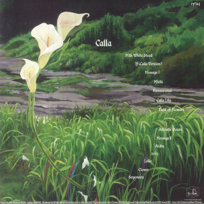 NTsKi – Calla (LP, EM Records, 2023) Back Cover