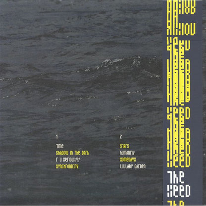 Nu Vision – The Seed (LP, Nation, 2026) Back Cover